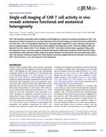 Single-cell imaging of CAR T cell activity in vivo reveals extensive functional and anatomical heterogeneity