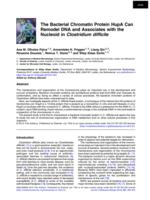 The Bacterial Chromatin Protein HupA Can Remodel DNA and Associates with the Nucleoid in Clostridium difficile