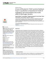 A local uPAR-plasmin-TGFβ1 positive feedback loop in a qualitative computational model of angiogenic sprouting explains the in vitro effect of fibrinogen variants