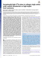 Exceptionally high δ15N values in collagen single amino acids confirm Neandertals as high-trophic level carnivores