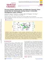 Structure Kinetics Relationships and Molecular Dynamics Show Crucial Role for Heterocycle Leaving Group in Irreversible Diacylglycerol Lipase Inhibitors