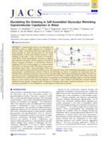 Elucidating the Ordering in Self-Assembled Glycocalyx Mimicking Supramolecular Copolymers in Water