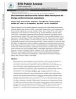 Next-Generation Multifunctional Carbon-Metal Nanohybrids for Energy and Environmental Applications