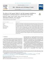 The effects of LXR agonist T0901317 and LXR antagonist GSK2033 on morphogenesis and lipid properties in full thickness skin models