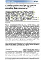 A transdiagnostic dimensional approach towards a neuropsychological assessment for addiction: an international Delphi consensus study