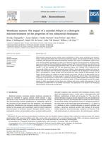 Membrane matters: The impact of a nanodisc-bilayer or a detergent microenvironment on the properties of eubacterial rhodopsins