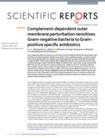 Complement-dependent outer membrane perturbation sensitizes Gram-negative bacteria to Gram-positive specific antibiotics