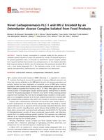 Novel Carbapenemases FLC-1 and IMI-2 Encoded by an Enterobacter cloacae Complex Isolated from Food Products