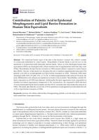 Contribution of Palmitic Acid to Epidermal Morphogenesis and Lipid Barrier Formation in Human Skin Equivalents