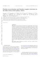 Particle re-acceleration and Faraday-complex structures in the RXC J1314.4-2515 galaxy cluster