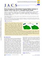 Photo-Uncaging of a Microtubule-Targeted Rigidin Analogue in Hypoxic Cancer Cells and in a Xenograft Mouse Model