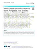 Molecular evolutionary trends and feeding ecology diversification in the Hemiptera, anchored by the milkweed bug genome