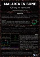 Malaria in bone. Hunting for Hemozoin