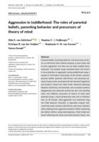 Aggression in toddlerhood: The roles of parental beliefs, parenting behavior and precursors of theory of mind