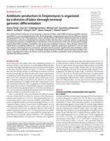 Antibiotic production in Streptomyces is organized by a division of labor through terminal genomic differentiation