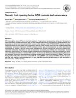 Tomato fruit ripening factor NOR controls leaf senescence