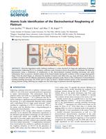 Atomic-Scale Identification of the Electrochemical Roughening of Platinum