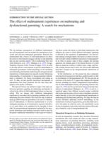 The effect of maltreatment experiences on maltreating and dysfunctional parenting: A search for mechanisms