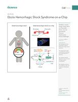 Ebola Hemorrhagic Shock Syndrome-on-a-Chip