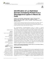 Identification of α,β-Hydrolase Domain Containing Protein 6 as a Diacylglycerol Lipase in Neuro-2a Cells