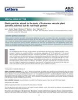 Plastic particles adsorb to the roots of freshwater vascular plant Spirodela polyrhiza but do not impair growth