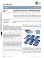 Calculating the volume of elongated bubbles and droplets in microchannels from a top view image