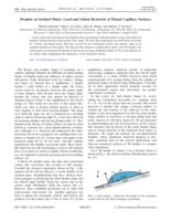 Droplets on Inclined Plates: Local and Global Hysteresis of Pinned Capillary Surfaces