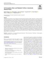 Soil Inoculation Alters Leaf Metabolic Profiles in Genetically Identical Plants