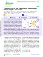 C-Mannosyl Lysine for Solid Phase Assembly of Mannosylated Peptide Conjugate Cancer Vaccines