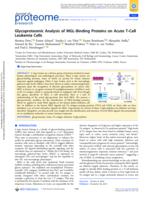 Glycoproteomic Analysis of MGL-Binding Proteins on Acute T-Cell Leukemia Cells