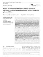 Cornea nerve fiber state determines analgesic response to tapentadol in fibromyalgia patients without effective endogenous pain modulation