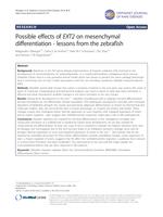 Possible effects of EXT2 on mesenchymal differentiation - lessons from the zebrafish