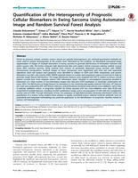 Quantification of the Heterogeneity of Prognostic Cellular Biomarkers in Ewing Sarcoma Using Automated Image and Random Survival Forest Analysis
