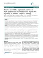 Kinome and mRNA expression profiling of high-grade osteosarcoma cell lines implies Akt signaling as possible target for therapy