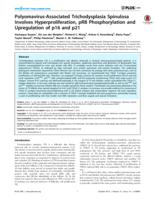 Polyomavirus-Associated Trichodysplasia Spinulosa Involves Hyperproliferation, pRB Phosphorylation and Upregulation of p16 and p21