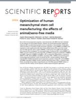 Optimization of human mesenchymal stem cell manufacturing: the effects of animal/xeno-free media