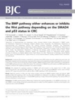 The BMP pathway either enhances or inhibits the Wnt pathway depending on the SMAD4 and p53 status in CRC