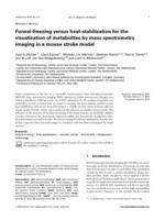 Funnel-freezing versus heat-stabilization for the visualization of metabolites by mass spectrometry imaging in a mouse stroke model