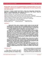 Prognostic value and clinicopathologic characteristics of L1 cell adhesion molecule (L1CAM) in a large series of vulvar squamous cell carcinomas