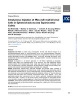 Intraluminal Injection of Mesenchymal Stromal Cells in Spheroids Attenuates Experimental Colitis