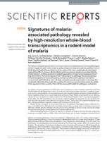 Signatures of malaria-associated pathology revealed by high-resolution whole-blood transcriptomics in a rodent model of malaria