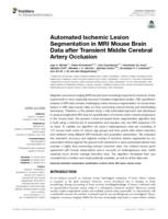 Automated Ischemic Lesion Segmentation in MRI Mouse Brain Data after Transient Middle Cerebral Artery Occlusion