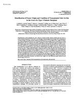 Identification of Donor Origin and Condition of Transplanted Islets In Situ in the Liver of a Type 1 Diabetic Recipient