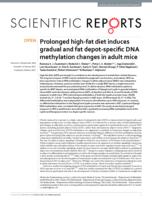 Prolonged high-fat diet induces gradual and fat depot-specific DNA methylation changes in adult mice