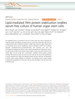 Lipid-mediated Wnt protein stabilization enables serum-free culture of human organ stem cells