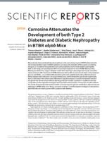 Carnosine Attenuates the Development of both Type 2 Diabetes and Diabetic Nephropathy in BTBR ob/ob Mice