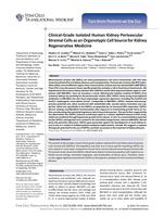 Clinical-Grade Isolated Human Kidney Perivascular Stromal Cells as an Organotypic Cell Source for Kidney Regenerative Medicine