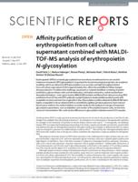 Affinity purification of erythropoietin from cell culture supernatant combined with MALDI-TOF-MS analysis of erythropoietin N-glycosylation