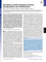 Elucidating crosstalk mechanisms between phosphorylation and O-GlcNAcylation