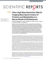 Ultra-High Mass Resolution MALDI Imaging Mass Spectrometry of Proteins and Metabolites in a Mouse Model of Glioblastoma
